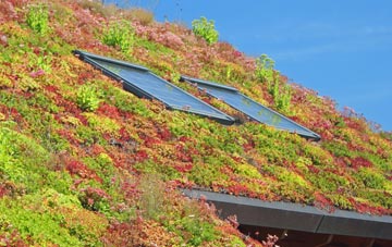 Boroughbridge living roof systems